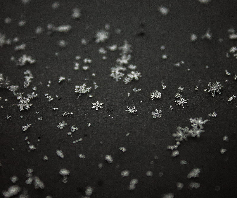 Snowflakes, cold, felix holzer, lix, makro, snow, winter, HD wallpaper