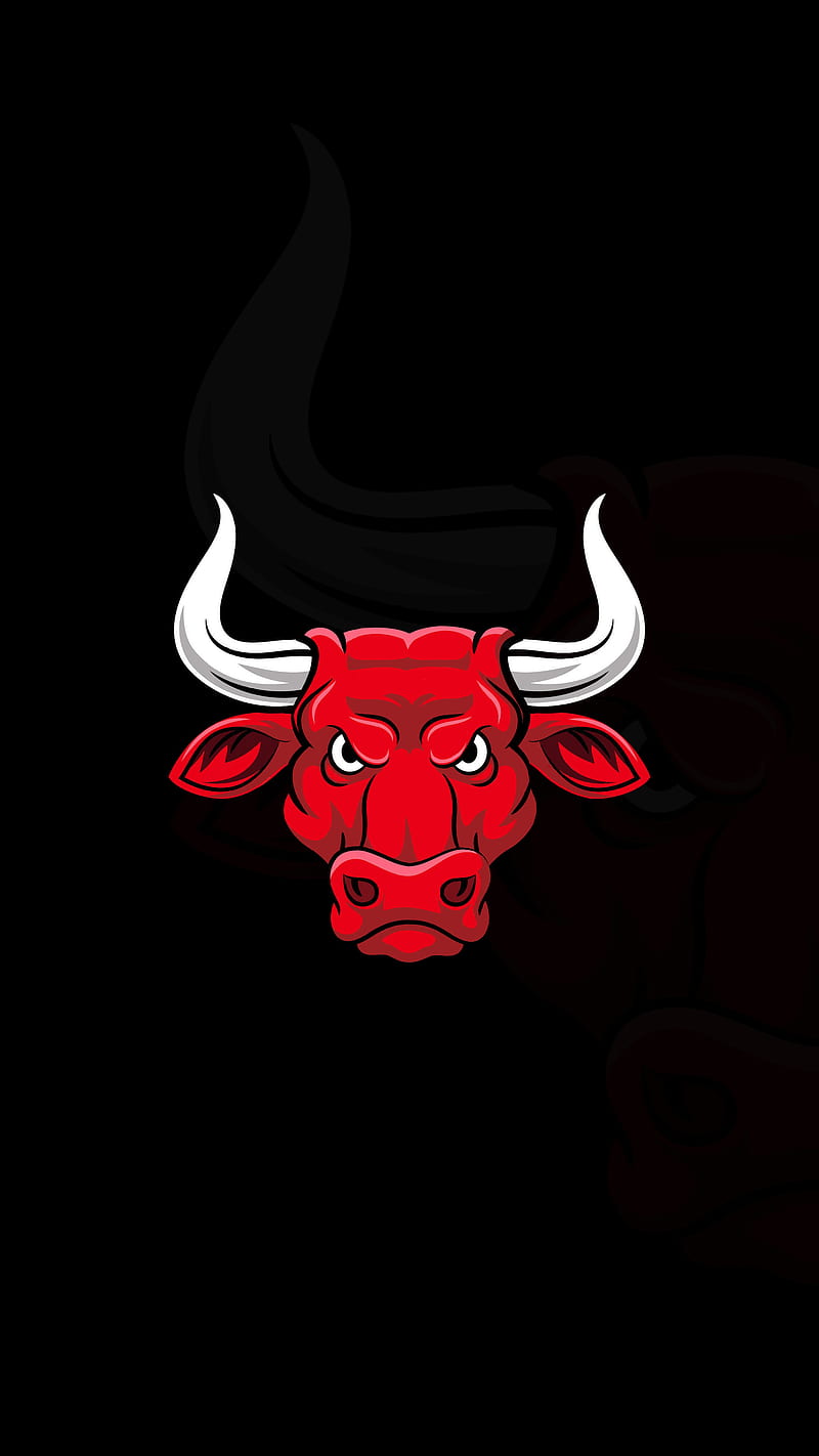 Chicago Bulls 929, basketball mascot, nba, new, team, HD phone wallpaper