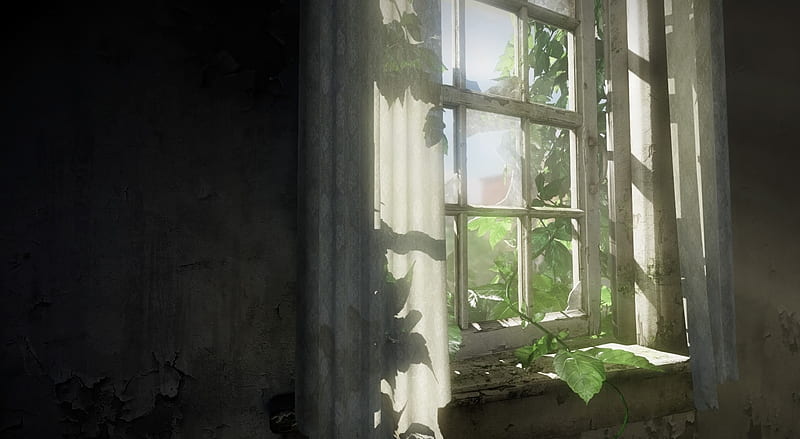 The Last of Us Ultra, Games, Other Games, Window, videogame, thelastofus, HD wallpaper