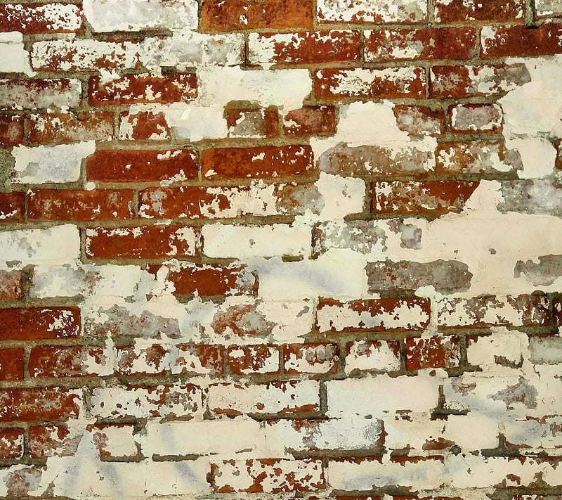 Old Brick Wall, aged, brick wall, bricks, HD wallpaper