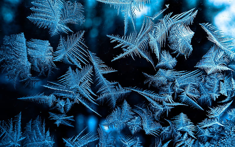 ice patterns background, winter background, frost drawings texture, frozen water background, HD wallpaper