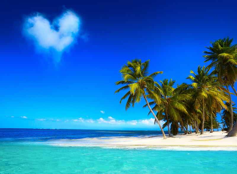 Tropical Beach, beautiful tropics, blue, palms, waters, HD wallpaper
