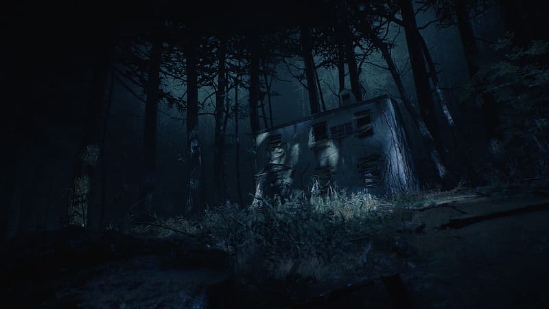 Forest House Video Game Blair Witch Blair Witch Video Game Hd Wallpaper Peakpx 3481