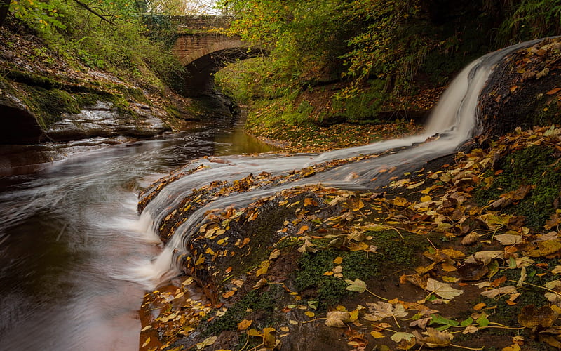 Gelt Bridge, autumn, waterfall, yellow fallen leaves, forest, River Gelt, England, HD wallpaper