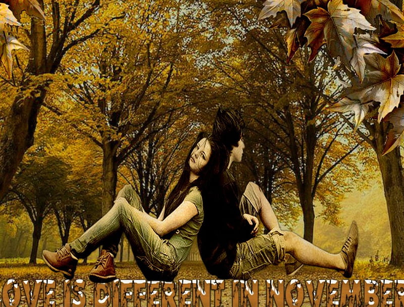 Love is different in November, is, in, november, love, different, HD  wallpaper | Peakpx