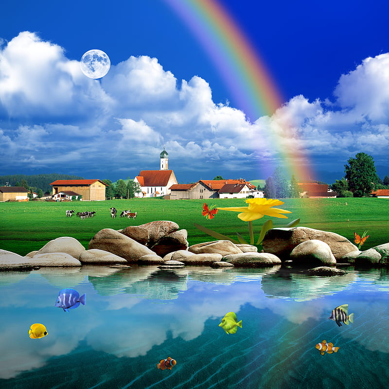 Lake View , butterfly, fish, moon, nature, rainbow, sky, tree, village, HD phone wallpaper