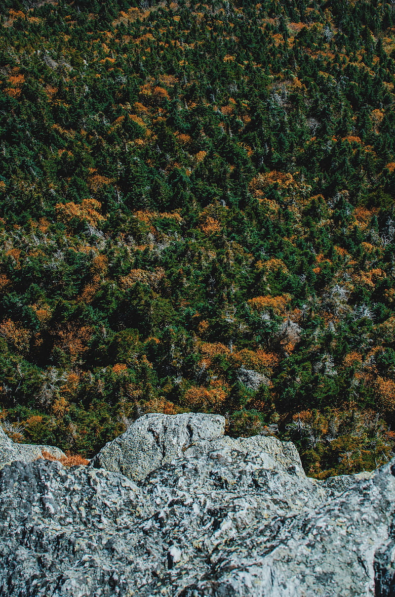 rock, trees, stone, aerial view, HD phone wallpaper