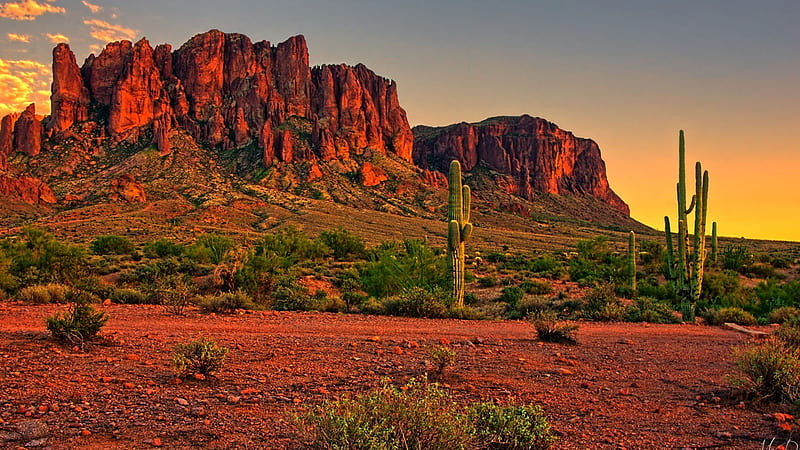 Landscape View Of Red Rocks Cactuses Green Bushes Plants During Sunrise Nature, HD wallpaper
