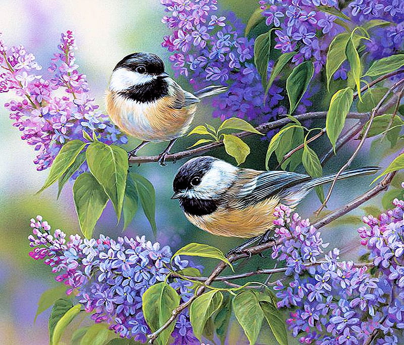 Chickadee Duo, spring, lilacs, painting, birds, songbirds, blossoms, HD wallpaper