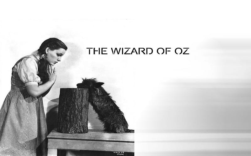 Dorothy And Toto, Dog, Wizard Of Oz, Toto, Movie, Dorothy, HD wallpaper