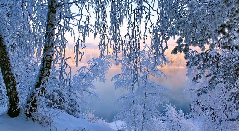 Hintergrundbild Winter Frost Branches - Opera Add-ons