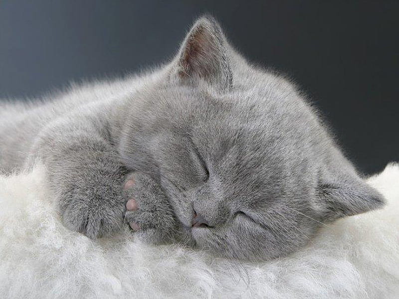 Sleepy eyes, eyes, sleepy, HD wallpaper | Peakpx