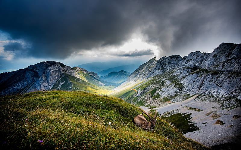 Mount Pilatus, Switzerland, grass, sunset, magic, sky, clouds, splendor, green, mountains, peaceful, nature, sunrise, landscape, HD wallpaper