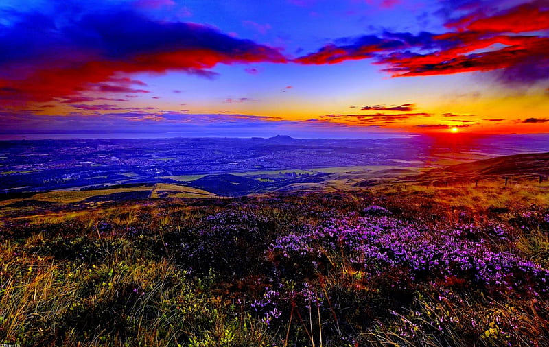 SUN is SETTING, mountain, distant, view, flowers, nature, sunset, HD wallpaper
