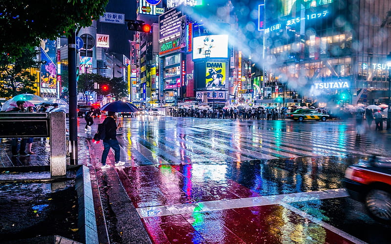 Tokyo, night city, rain, skyscrapers, metropolis, people, japan, HD wallpaper
