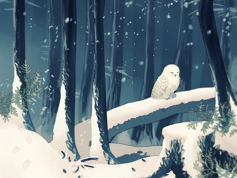 Snowy owl, bird, longestdistance, snowy, white, winter, blue, forest, owl, luminos, bufnita, pasari, HD wallpaper