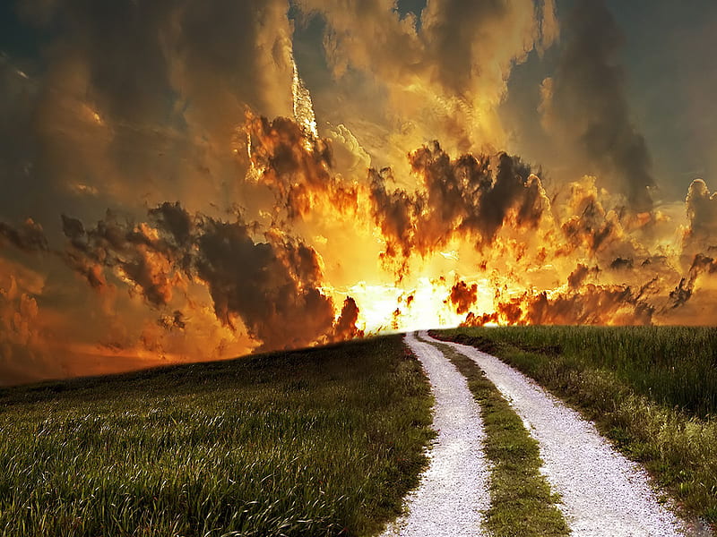 Pathway Sunset, roadway, path, sunset, clouds, grassy field, tracks, HD wallpaper