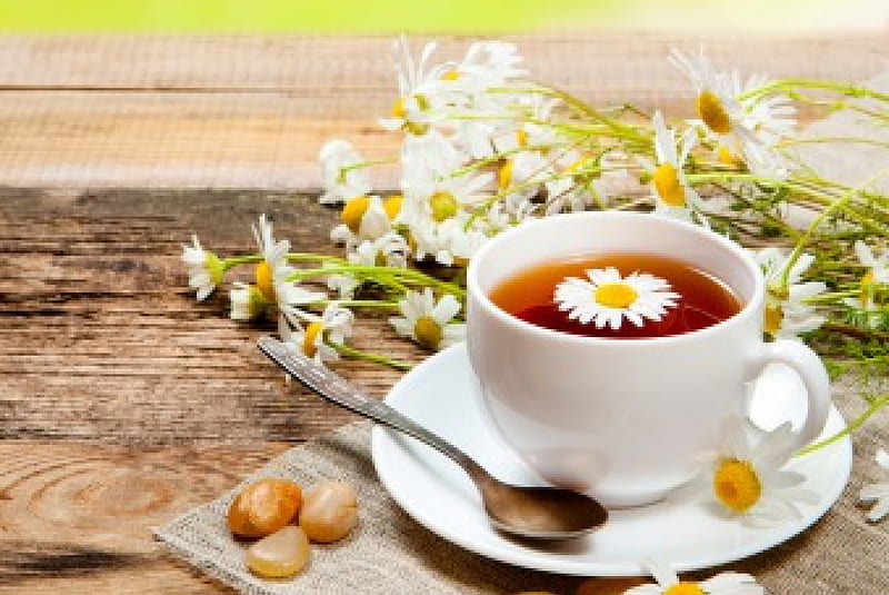 Sweet moment of relaxation, daisies, spoon, saucer, flowers, cup, drink, tea, HD wallpaper