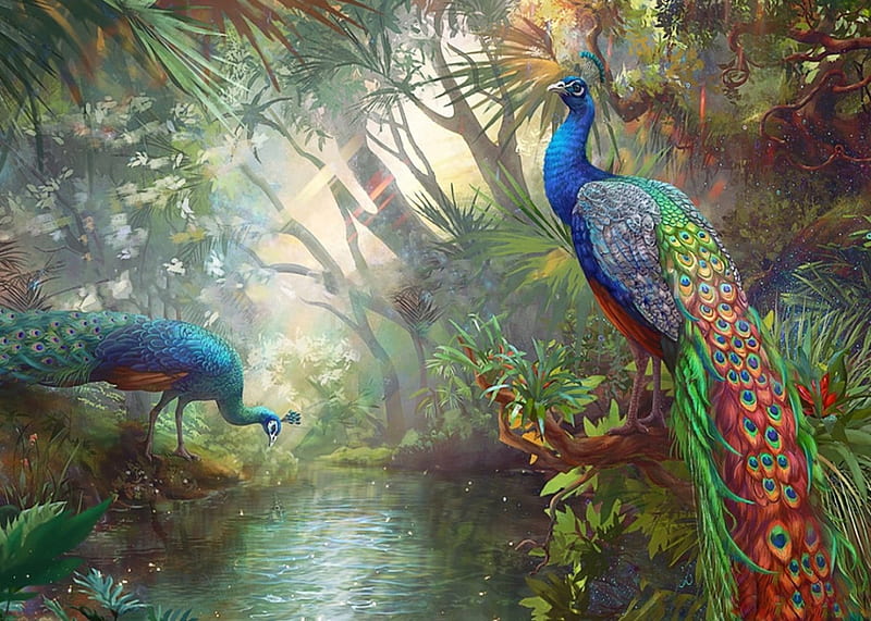 Paradise Peacocks, Digital art, colors, birds, bonito, Tropical, fantasy, water, paradise, peacocks, jungle, HD wallpaper