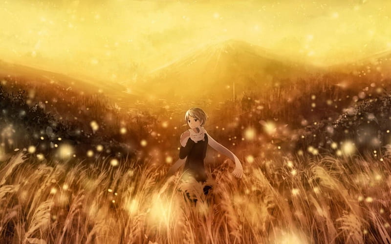 Anime in landscape, sun, anime, field, landscape, HD wallpaper | Peakpx