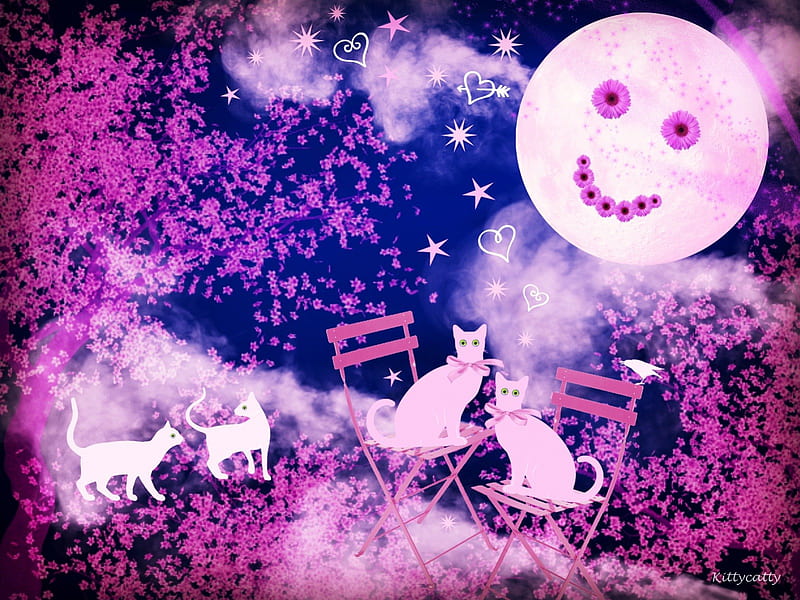 Pink Daisy Moon , stars, pink blossoms, cat, clouds, corazones, moon, bird, love, pink cats, pink, cats, daisy, night, HD wallpaper