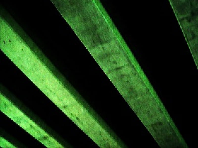 Green Support, tinted, underneath, bridge, gree, supports, HD wallpaper
