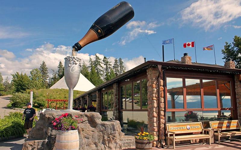 Summerhill Pyramid Winery, Bottle, Winery, Landscape, Canada, HD wallpaper