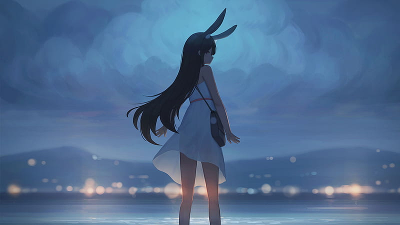 Anime, Original, Animal Ears, Black Hair, Dress, Long Hair, Night, Water, HD wallpaper