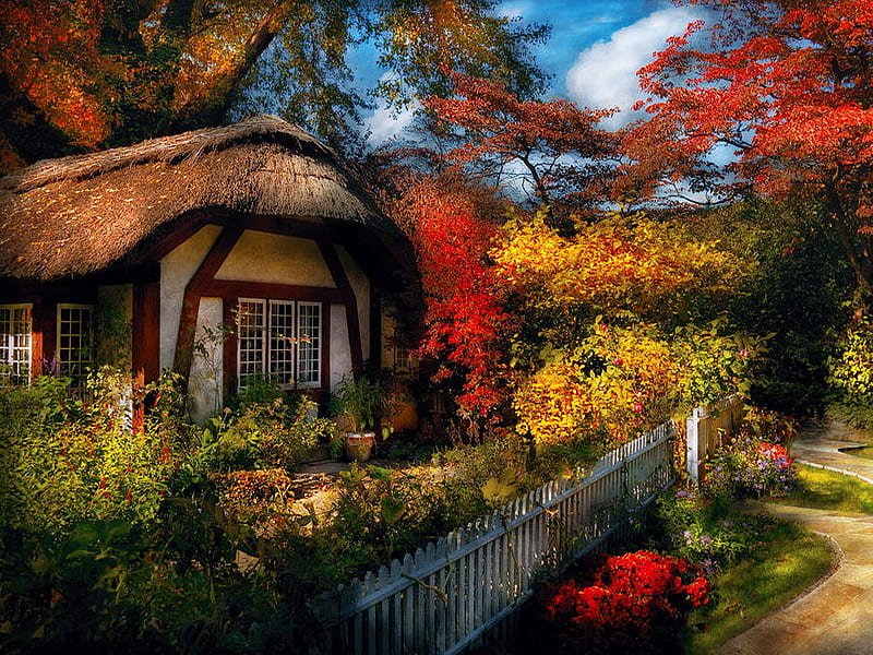 Summer cottage, red, fall, autumn, house, cottage, colors, bonito, trees, yard, summer, flowers, HD wallpaper Summer cottage, red, fall, autumn, house, cottage, colors, bonito, trees, yard, summer, flowers, HD wallpaper