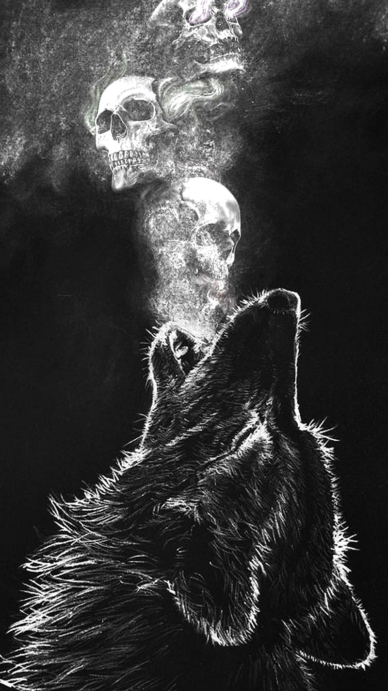 Wolf, skulls, HD phone wallpaper
