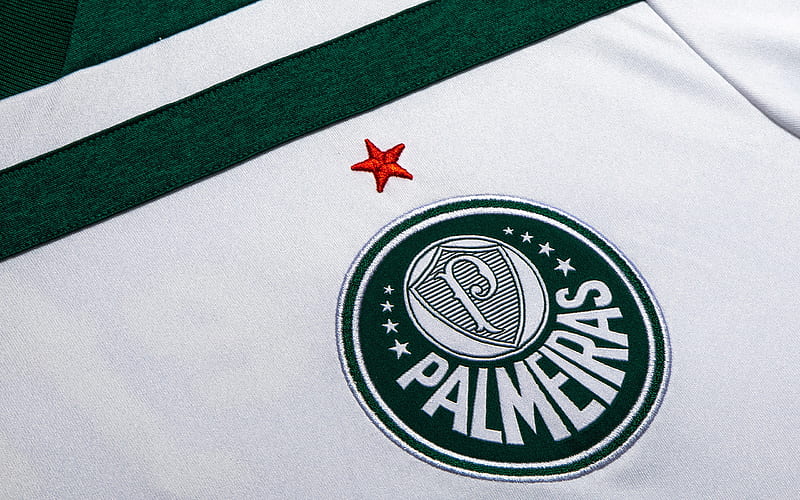 Palmeiras FC, Sociedade Esportiva Palmeiras, logo, emblem, white green T-shirt, Brazilian football club, Sao Paulo, Brazil, Series, HD wallpaper