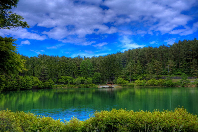 Green Lake in R high dynamic range, clouds, landscape, cenario, foliage, nice, multicolor, scenario, creeks, beauty, green lake, forests, paisage, wood, rivers, , paysage, cena, sky, trees, pines, peisaje, panorama, water, cool, awesome, hop, white, landscape, colorful, scenic, brown, green river, bonito, trunks graphy, leaves, roots, green, scenery, blue amazing, lakes, view, colors, maroon, leaf, paisagem, plants, r, colours, nature, branches, scene, HD wallpaper