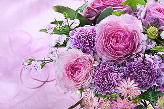 PURPLE TWILIGHT ROSE, flower, desenho, purple, rose, HD wallpaper