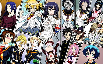 HD medaka wallpapers | Peakpx