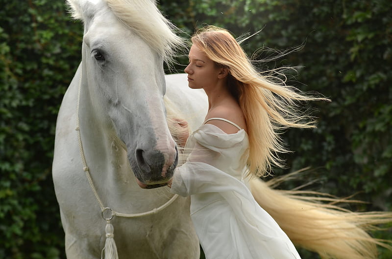 Girl With White Horse , girls, horse, model, HD wallpaper
