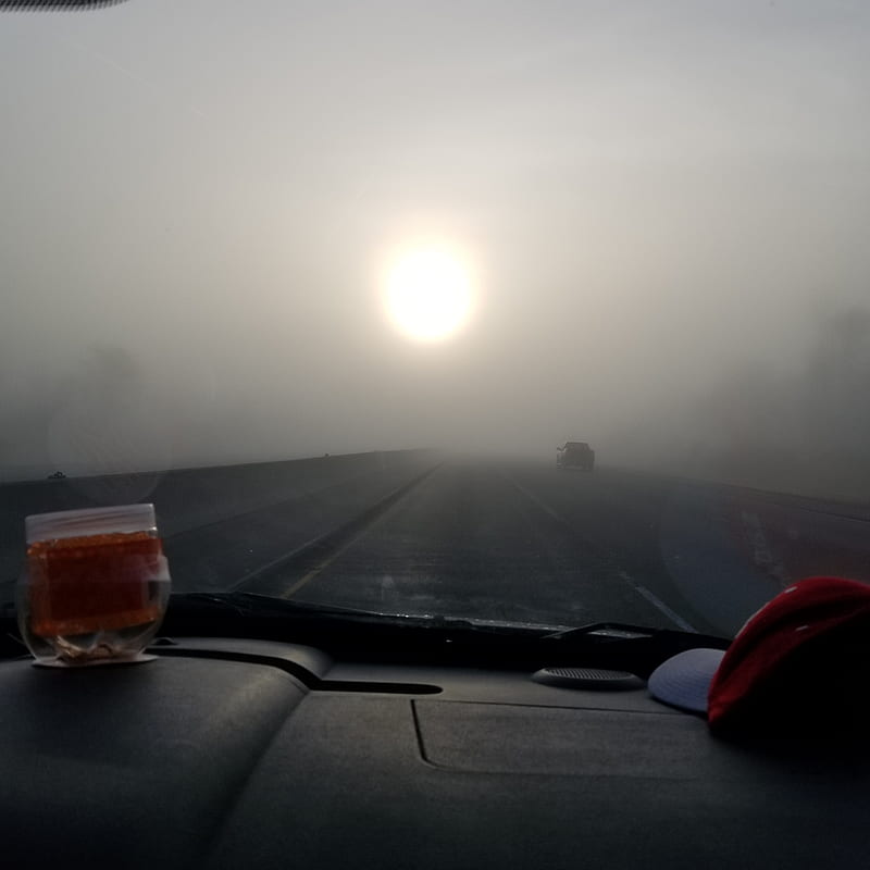 Foggy Morning, car, road, sun, sunrise, travel, HD phone wallpaper