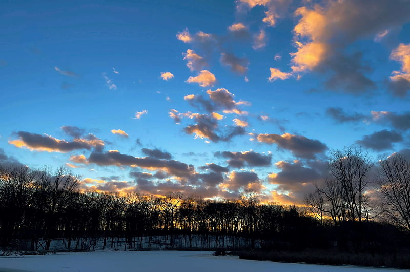 Asylum Lake Preserve, Michigan, snow, ice, sunset, clouds, frozen, trees, sky, HD wallpaper