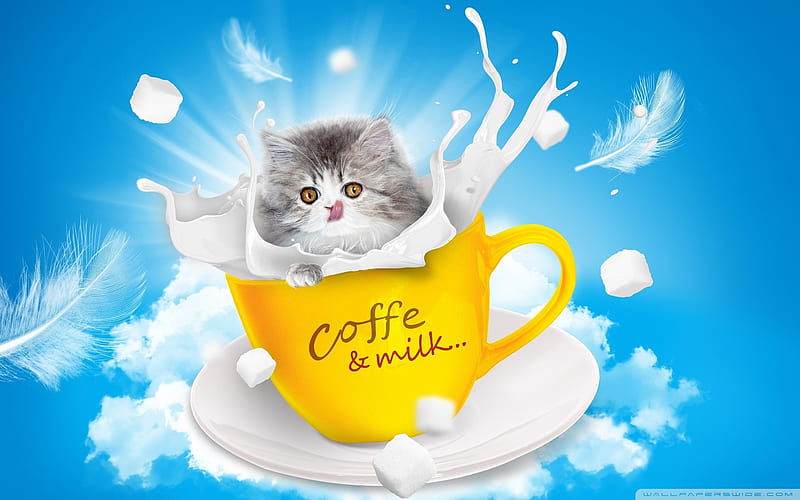 Coffee with love, mug, milk, coffee, feather, HD wallpaper