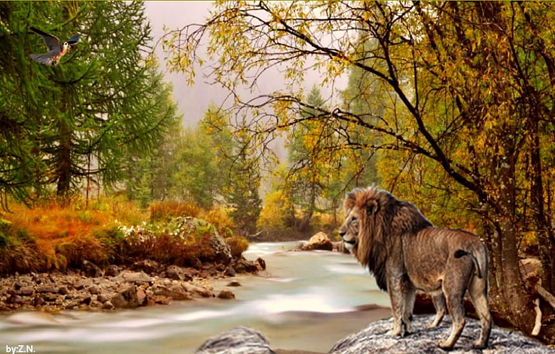 lion and nature,autumn, autumn, nature, river, ion, HD wallpaper