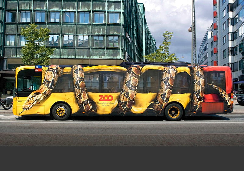 Anaconda Bus, anaconda, cool bus, HD wallpaper
