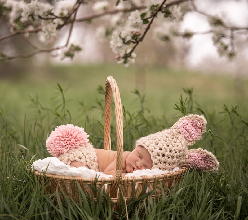 Spring, baby, basket, bunny, cute, eggs, newborn, sweet, HD wallpaper