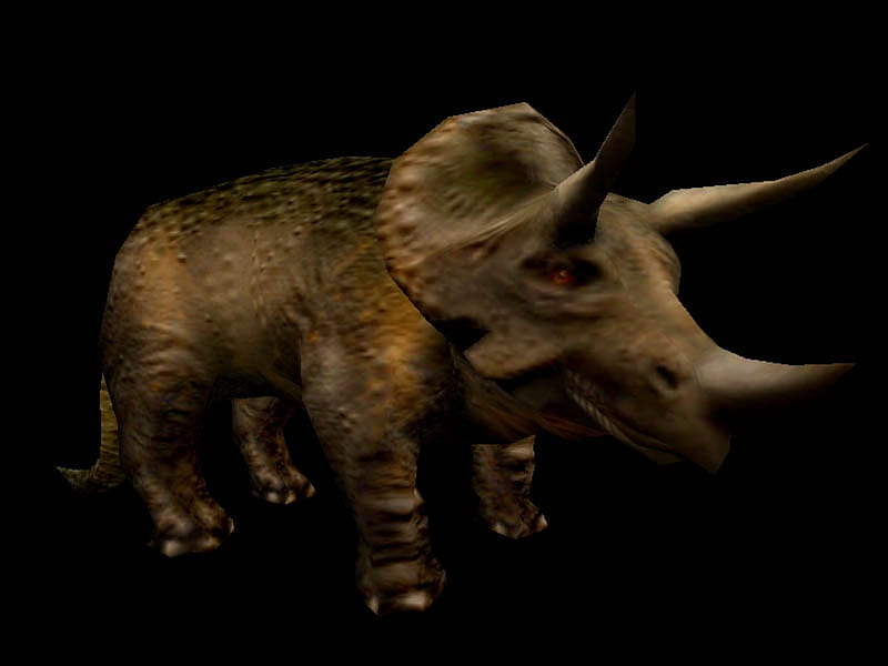 Carnivores Dinosaur Hunter Triceratops, triceratops, carnivores, dinosaur, hunter, HD wallpaper