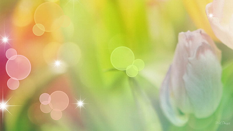 Spring Springing, stars, art, firefox persona, spring, floral, painting, flowers, tulips, pastel, HD wallpaper