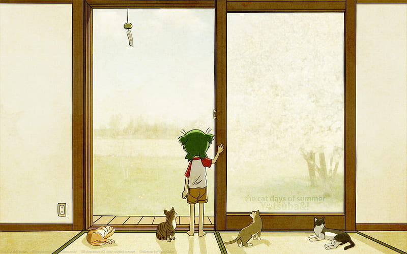 Yatsubato, wind chime, scenic, girl, view, cat, HD wallpaper