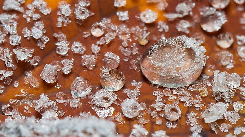 •Crystals•, iceflakes, crystals, abstract, winter, cold, ice crsytals, graphy, snow, macro, ice, nature, frozen, frost, HD wallpaper