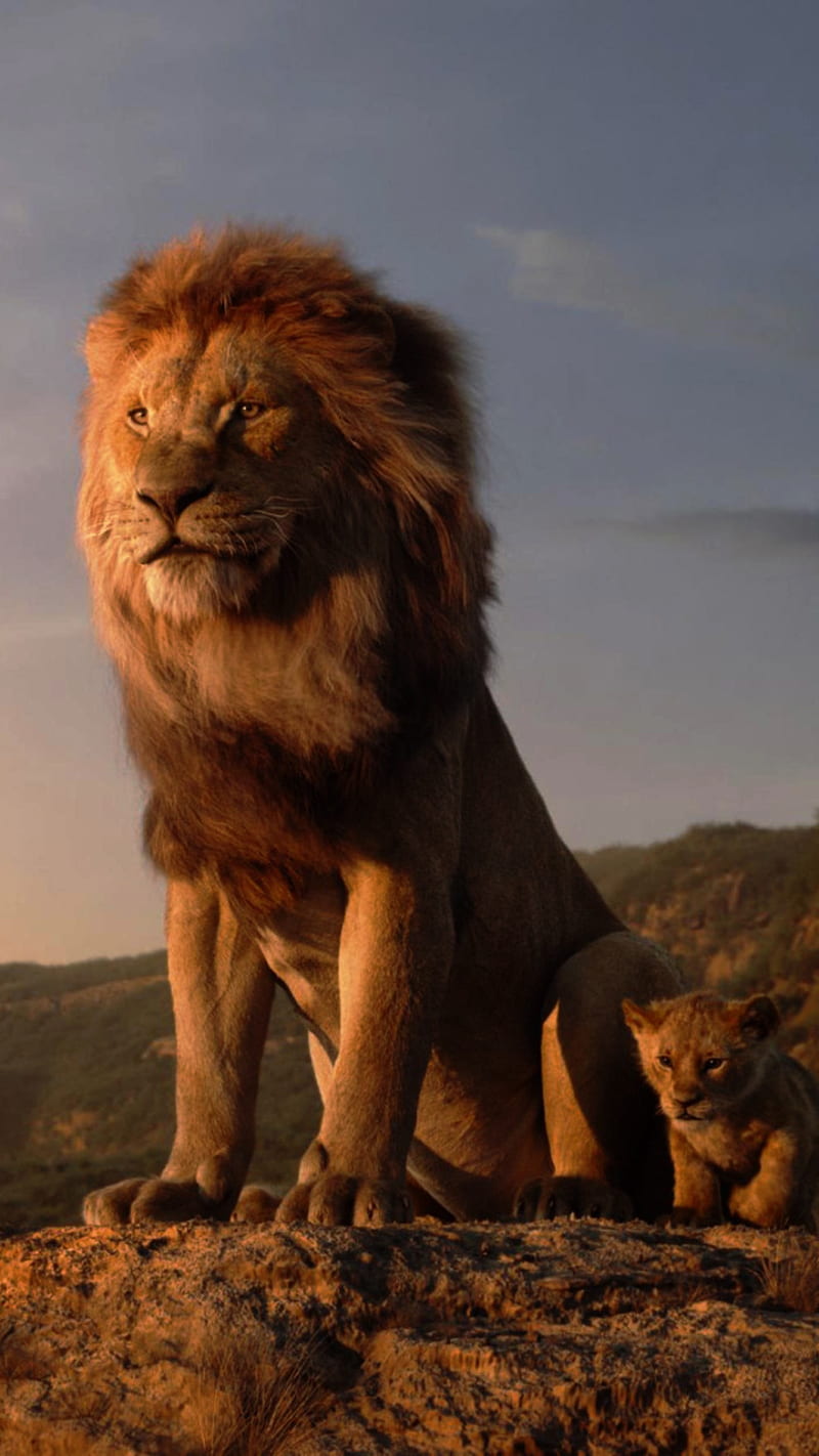 the lion king, film, king, lion, HD phone wallpaper