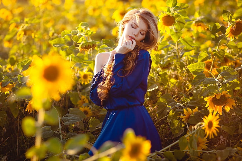 Country Woman in Sunflower Field, Sunflowers, Model, Long Hair, Woman, Flowers, Sunny, Blue Dress, Yellow, Bright, The Moment, HD wallpaper