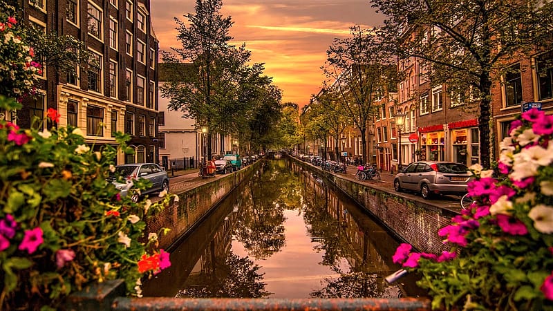 Cities, House, Street, Amsterdam, , Canal, HD wallpaper