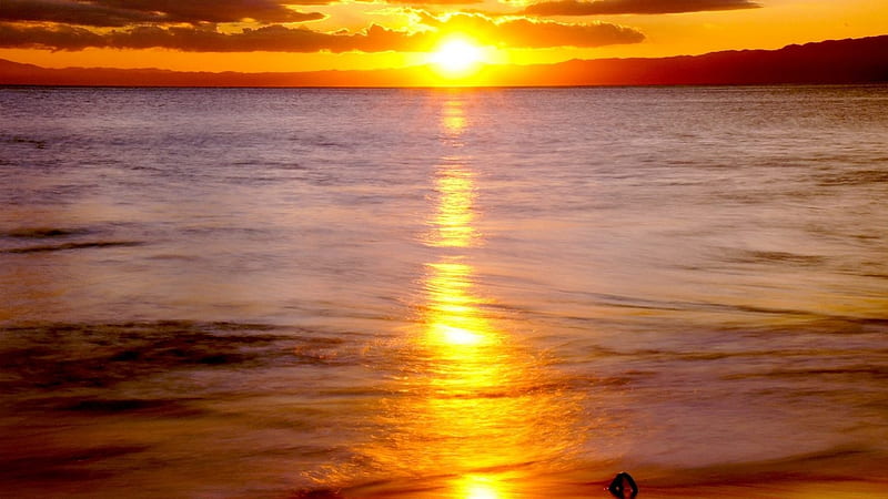 Sea With Golden Sunset Reflection HD Sunset Wallpapers | HD Wallpapers