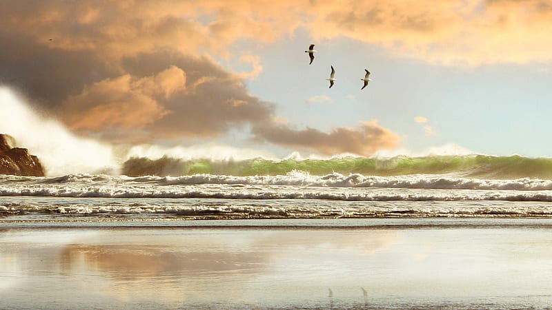 birds flying over crashing waves, beach, birds, waves, clouds, HD wallpaper